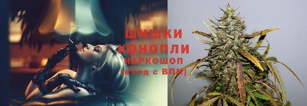 стафф Богданович