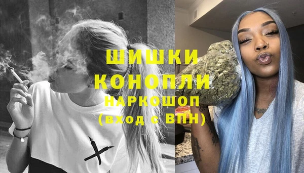 стафф Богданович