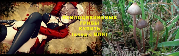 МДМА Богородицк