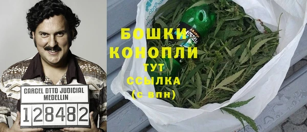 стафф Богданович